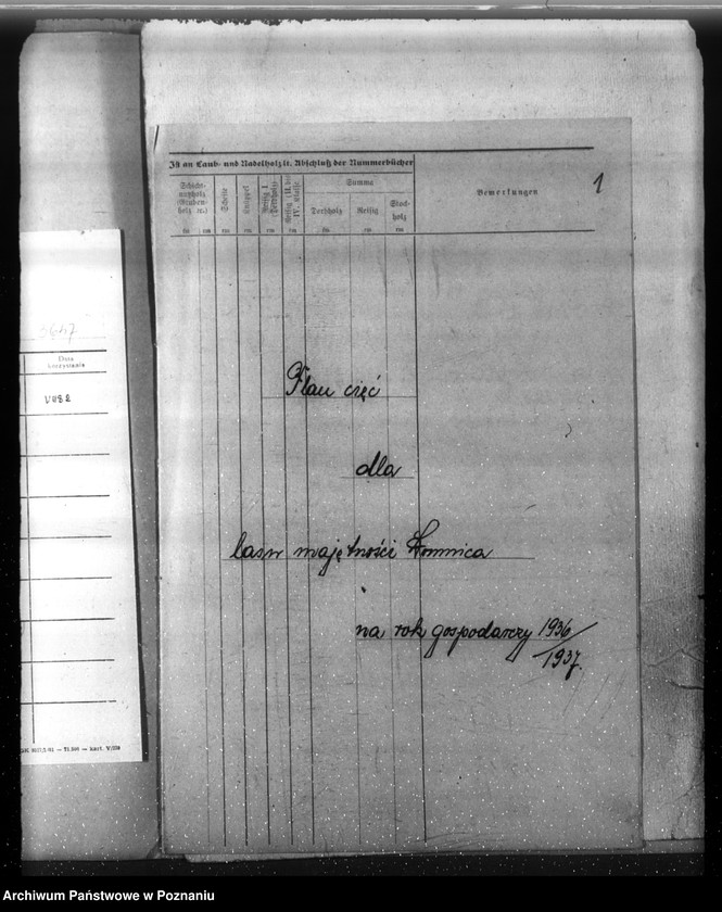 Obraz 5 z jednostki "Plan cięć lasu majętności Łomnica powiat nowotomyski"