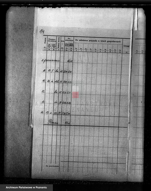 Obraz 18 z jednostki "Plan urządzania gospodarstwa leśnego dla lasu majętności Bonikowo - powiat kościański"