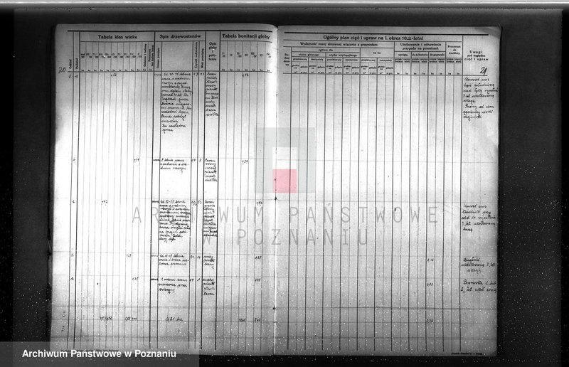 image.from.unit.number "Plan urządzenia gospodarstwa leśnego dla lasu majętności Rudki w powiecie szamotulskim 1929-1939"