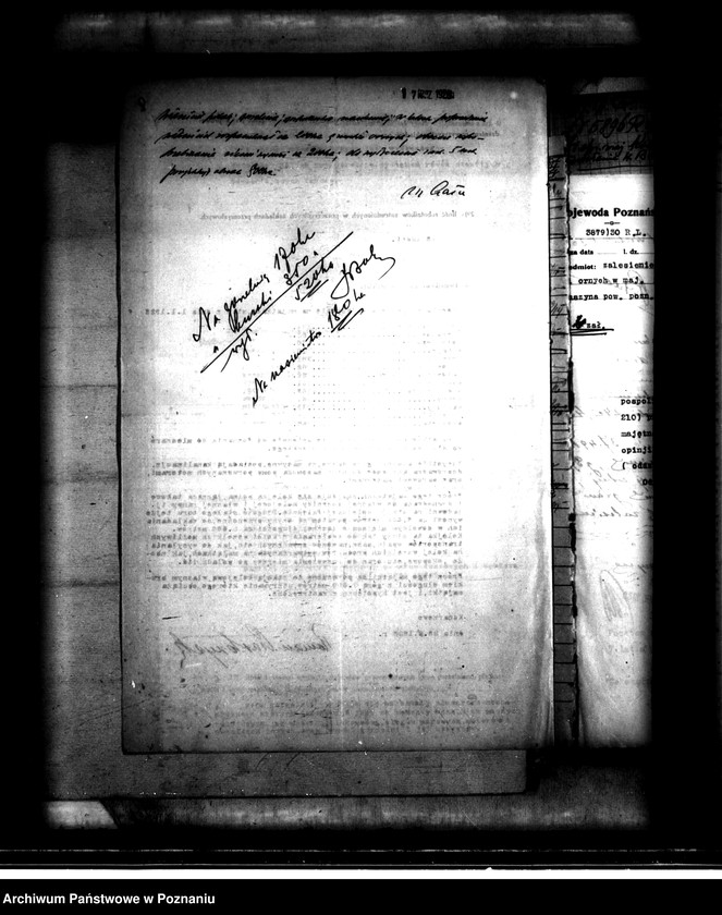 Obraz 11 z jednostki "Majątek Konarzewo powiatu poznańskiego wyłączenie z art. 4 i 5 ustawy o reformie rolnej"