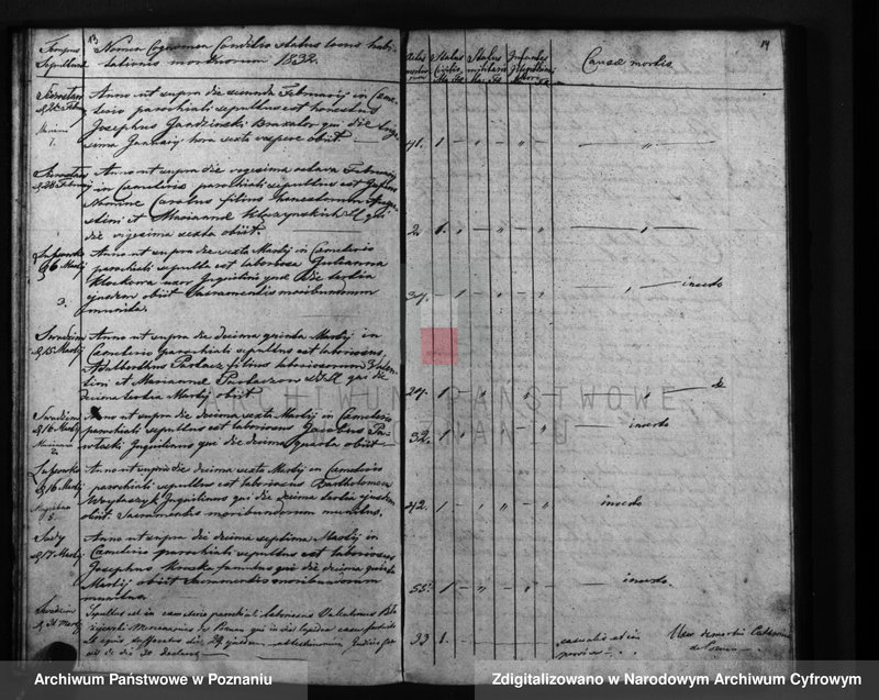 Obraz 10 z jednostki "Liber mortuorum"