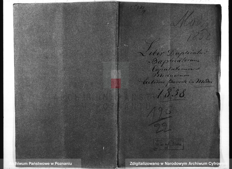 Obraz 2 z jednostki "Duplicatus baptisatorum, copulatorum, mortuorum"