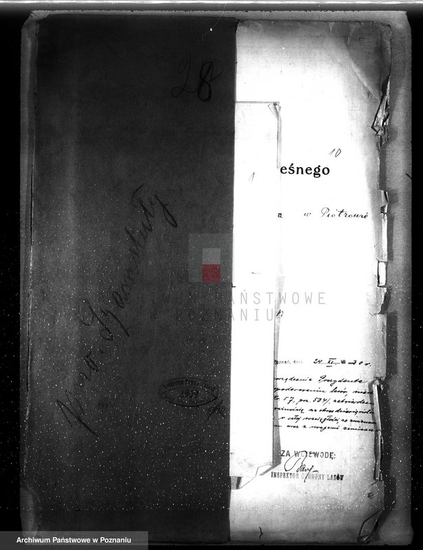 image.from.unit.number "Plan urządzenia gospodarstwa leśnego dla lasu Anny Far w Piotrowie powiat szamotulski 1930-1940"