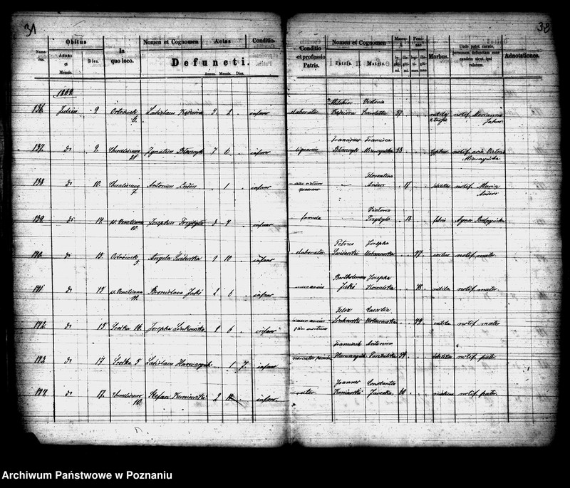 Obraz 17 z jednostki "Księga zgonów"