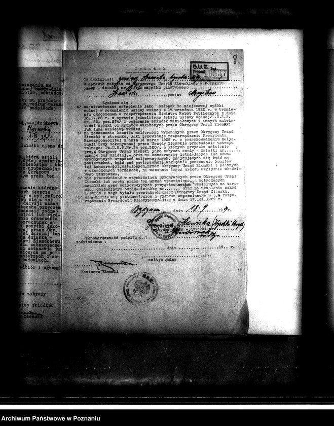 Obraz 12 z jednostki "Stawiska B 5 i 6 powiatu mogileńskiego /osada parcelacyjna/"