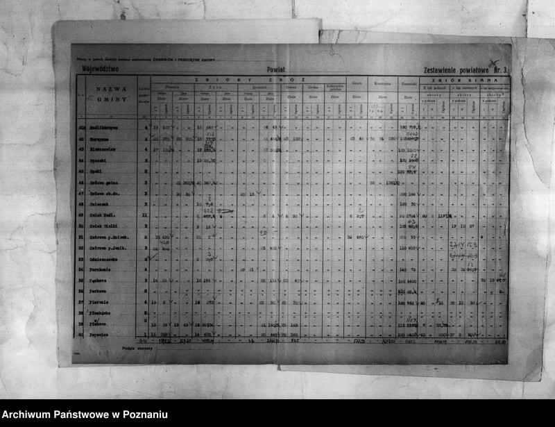 Obraz 11 z jednostki "/Statystyka produkcji rolnej - zestawienie powiatowe - Inowrocław/"