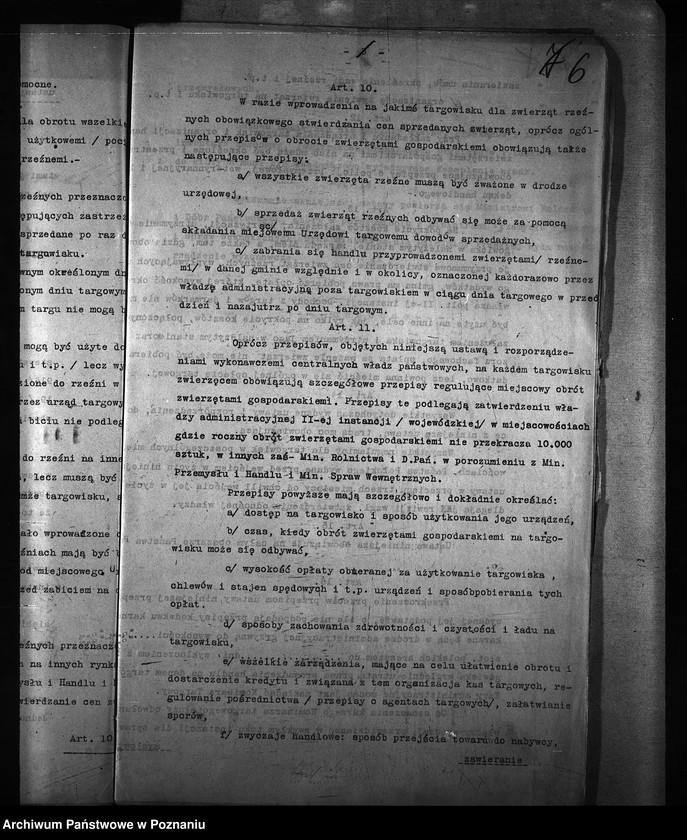 Obraz 10 z jednostki "Obrót zwierzętami [bydłem] ogólne sprawy"