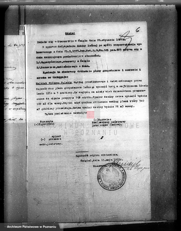 Obraz 10 z jednostki "Majętność /leśna/ Wilkowo Polskie powiat kościański"