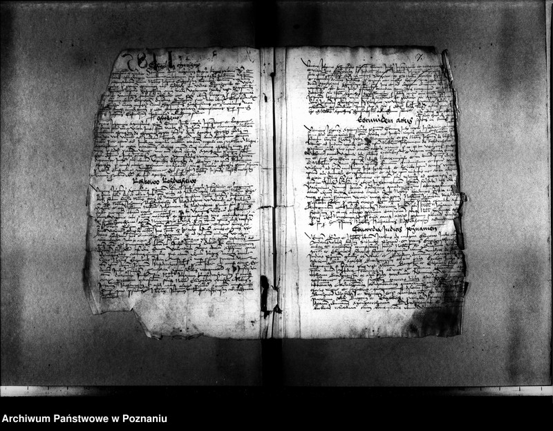 Obraz 11 z jednostki "Resignationes ,inscriptiones, relationes, decreta [protocollon]"