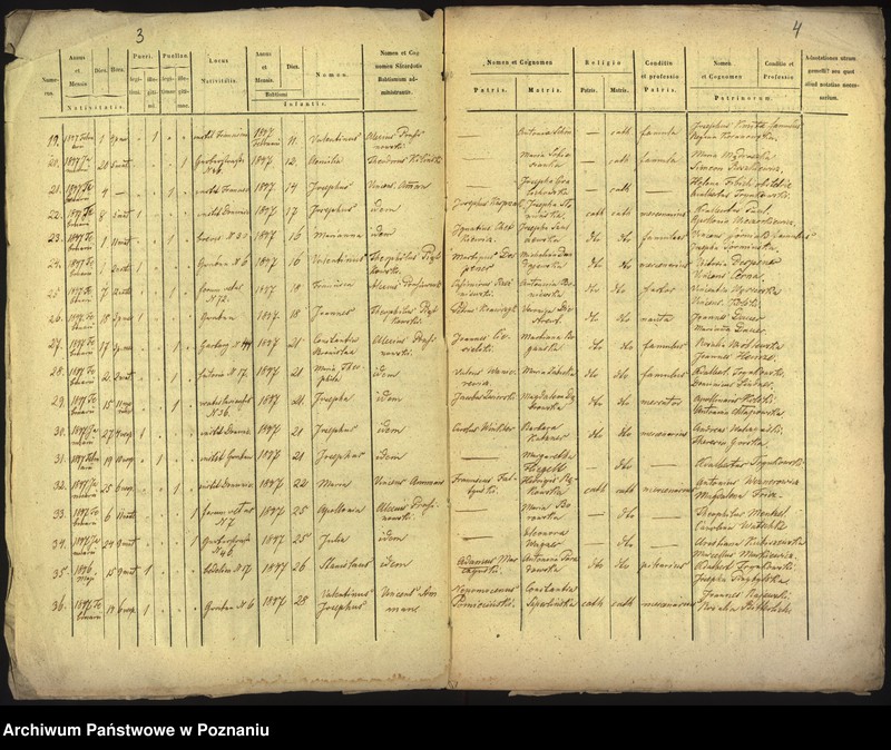 Obraz 4 z jednostki "Księga urodzin"