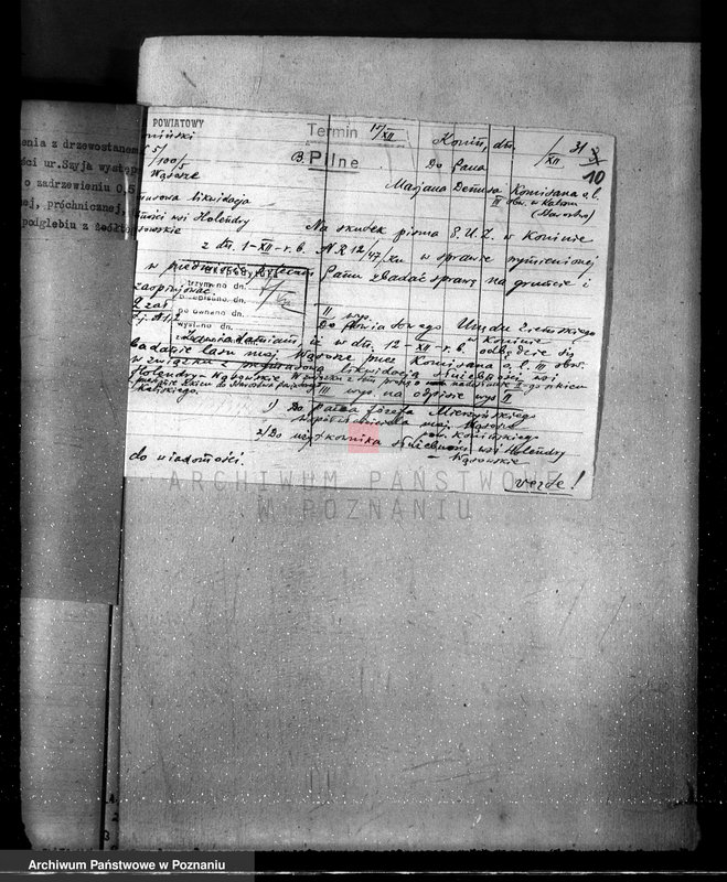 Obraz 15 z jednostki "Sprawa przymusowej likwidacji służebności osady nr 7 Holendry Wąsowskie w lasach majątku Wąsosze /powiat koniński/ oraz nieprawnego wyrębu"