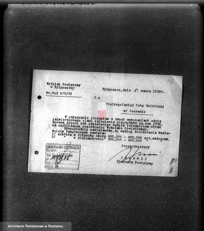 Obraz 19 z jednostki "Zalesienie nieużytków w powiecie bydgoskim"