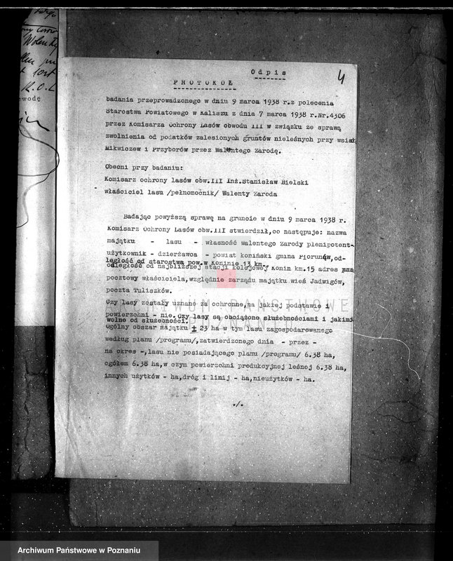 Obraz 8 z jednostki "Gmina Piorunów powiat turecki /nadzór nad gospodarką leśną/"