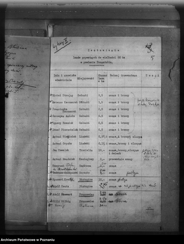 Obraz 9 z jednostki "Lasy do 30 ha na terenie powiatu poznańskiego"