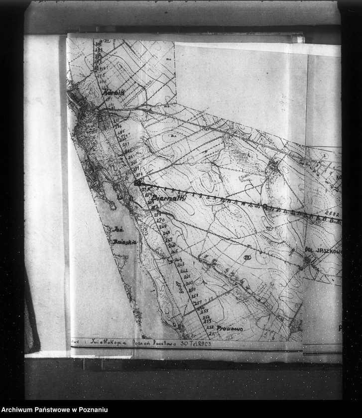 Obraz 19 z jednostki "Plan orientacyjny linii 30 km w skali 1:25000 Trasa: Poznań-Kobylepole-Kórnik-Biernatki-Zaniemyśl-Łęgi-Pyszące-Dolsk-Gostyń"