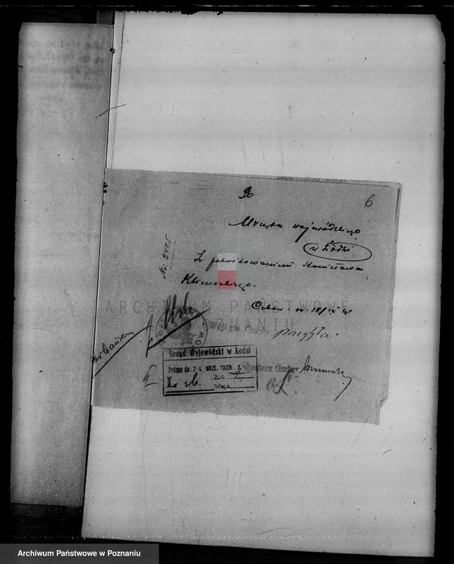 Obraz 10 z jednostki "Gmina Ceków w powiecie kaliskim nadzór nad gospodarką w lasach"