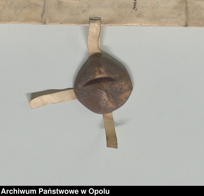 image.from.collection.number "Brama wodna w Namysłowie111"
