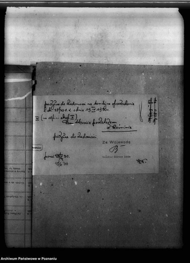 image.from.unit.number "Majętność leśna Kromolice powiat krotoszyński"