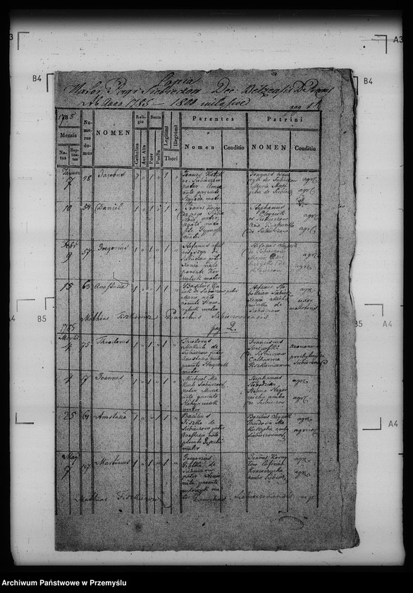 Obraz 5 z jednostki "[Kopie ksiąg metrykalnych parafii Siebieczów z filią Leszczaków (dekanat Bełz)]"