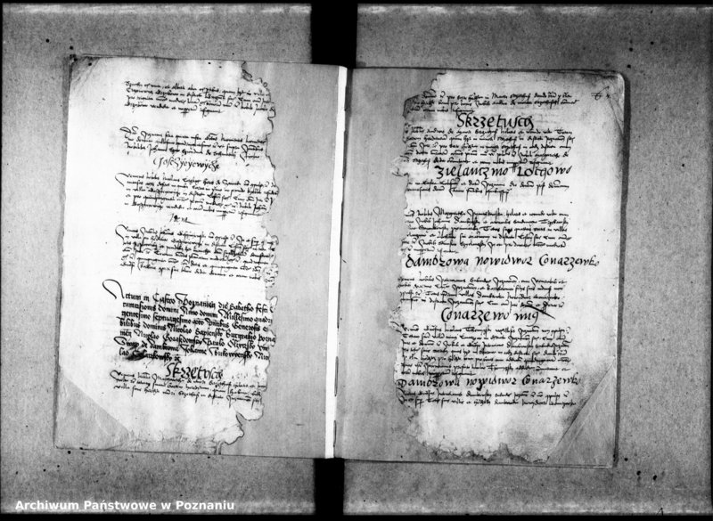 Obraz 17 z jednostki "Resignationes [inducta;protocollon]"