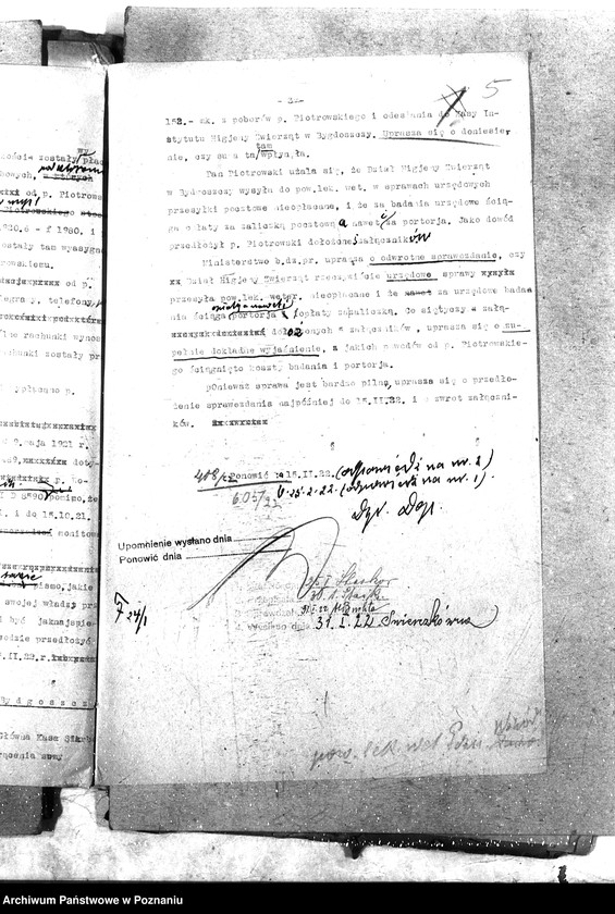 Obraz 9 z jednostki "Pow. lekarz Weterynaryjny Poznań-Wschód"