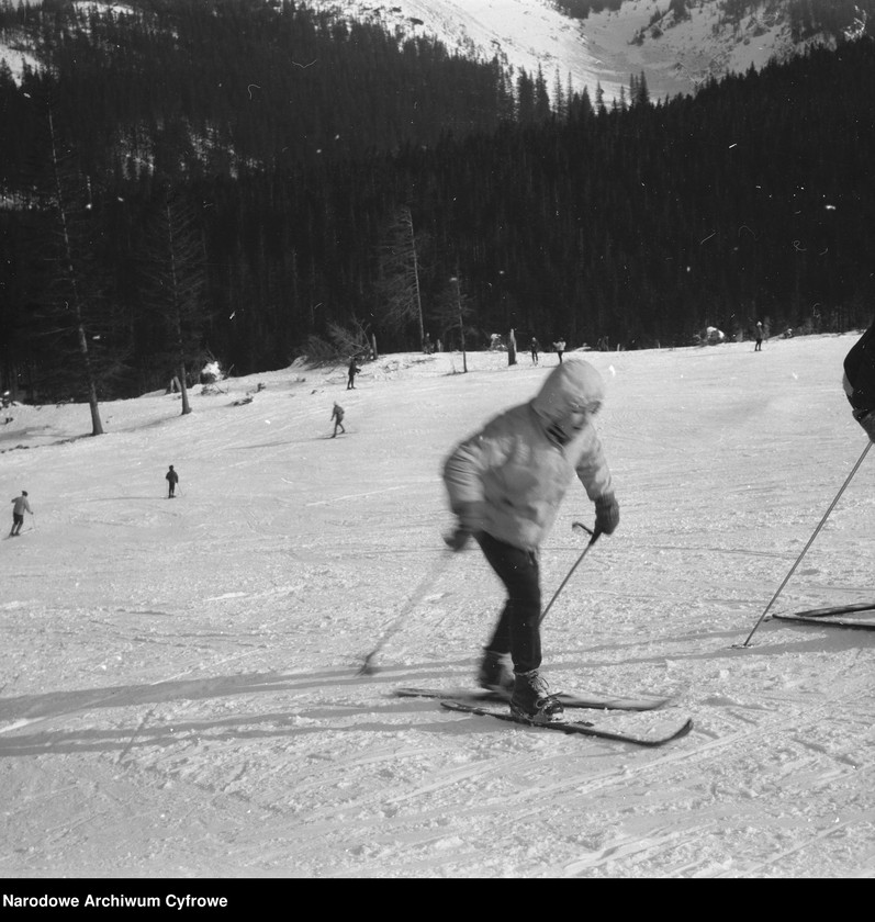 Narciarze na Kalat&oacute;wkach.