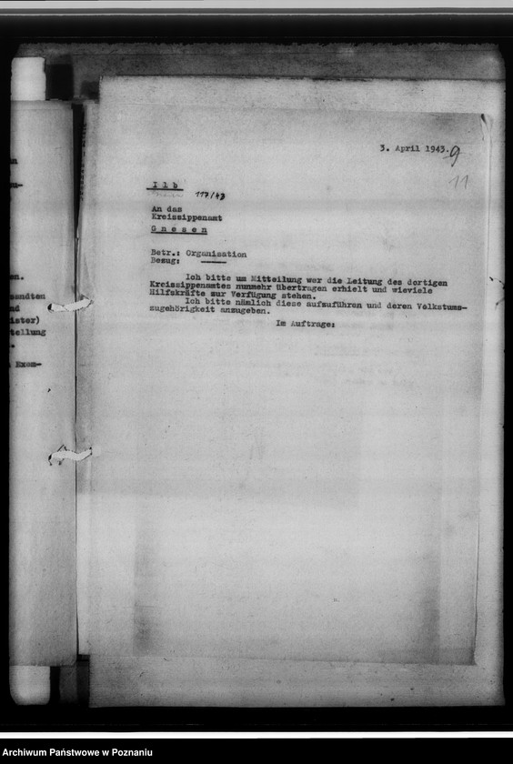 Obraz 15 z jednostki "[Korespondencja w sprawach organizacyjnych, sprawozdanie z działalności] Kreissippenamt Gnesen [Gniezno]"