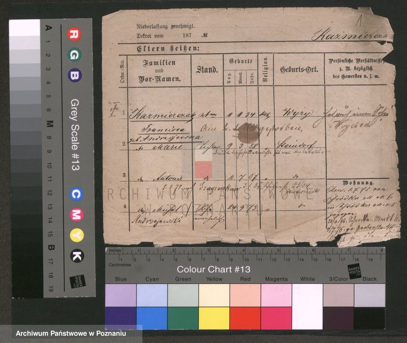 Obraz 1 z jednostki "Kaźmierczak (wdowy, samotni mężczyźni i kobiety)"