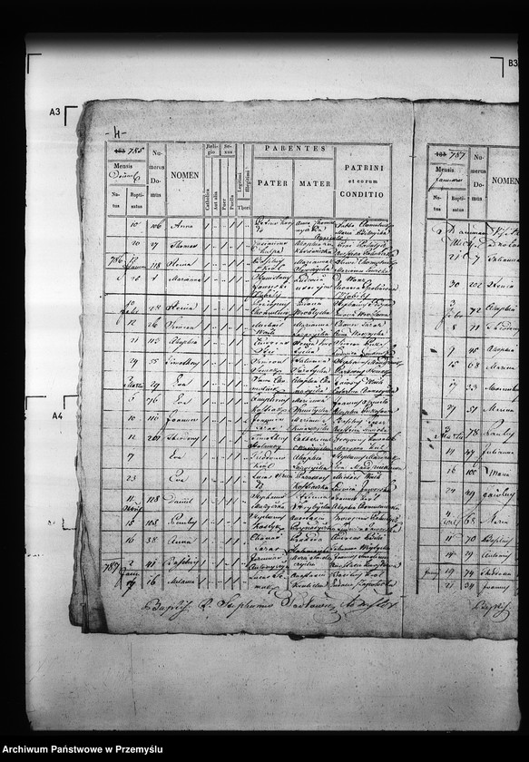 Obraz 8 z jednostki "[Kopie ksiąg metrykalnych parafii Ulicko (dekanat Niemirów)]"