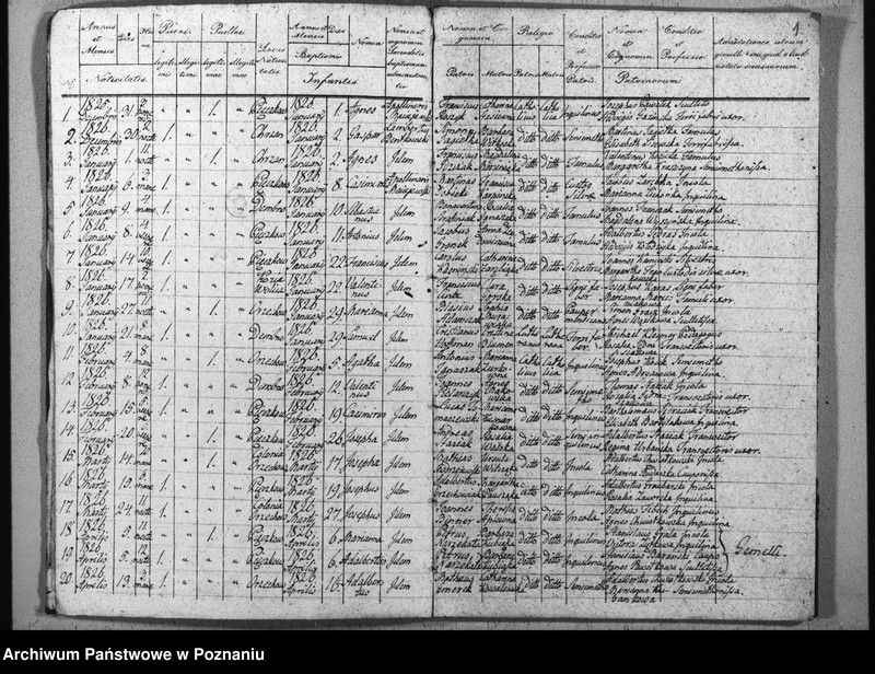Obraz 5 z jednostki "Duplikat baptisatorum, copulatorum u. mortuorum"