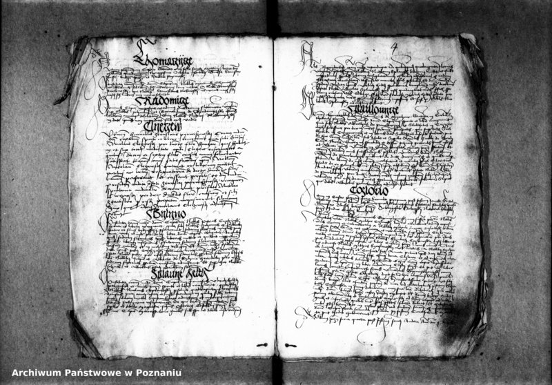 Obraz 9 z jednostki "Inscriptiones, relationes, decreta [inducta]"