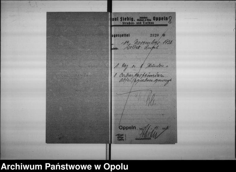 Obraz 10 z jednostki "[Budowa grobli i wałów na Bolko]"