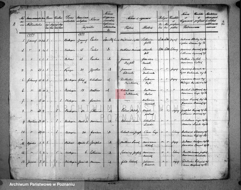 Obraz 3 z jednostki "Duplicatus baptisatorum"
