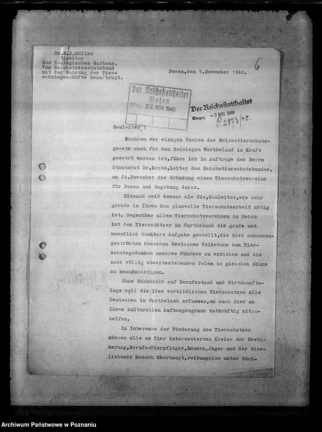 Obraz 10 z jednostki "Tierquälerei an Pferden. Scheuklappen."