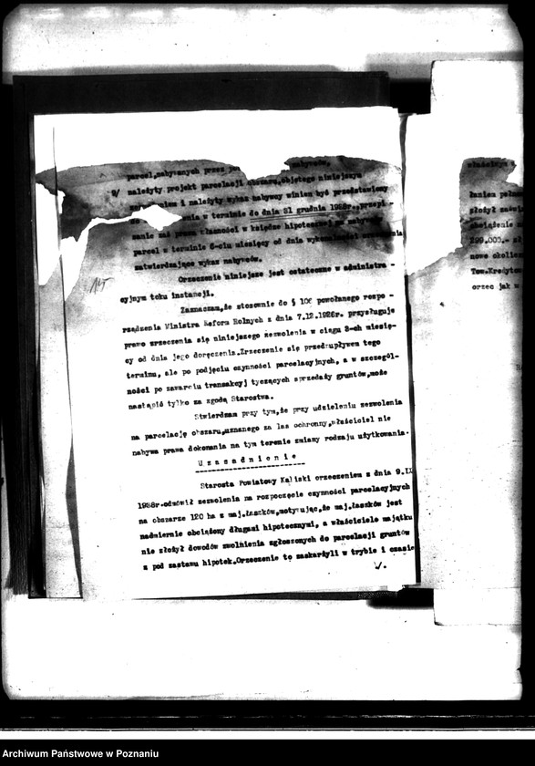 Obraz 20 z jednostki "/Parcelacja prywatna powiat kaliski/"