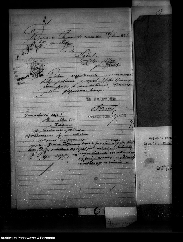 Obraz 6 z jednostki "Las gromady Żodyń Nowy powiat wolsztyński"