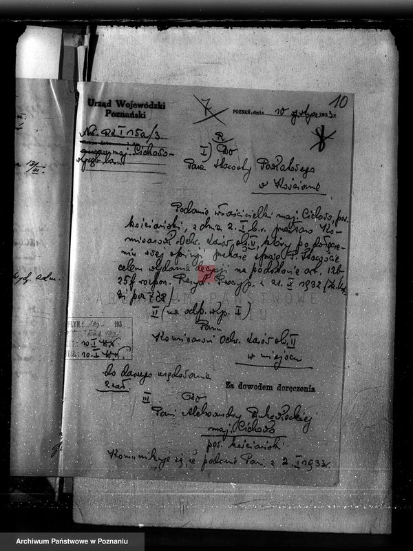 Obraz 14 z jednostki "Nadzór nad gospodarką w lasach majętności Cichowo powiat kościański"