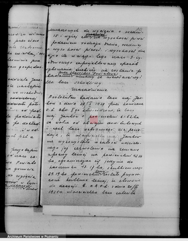 Obraz 14 z jednostki "Sprawy nieprawnych wyrębów lasu w majątku Janków w powiecie kaliskim"