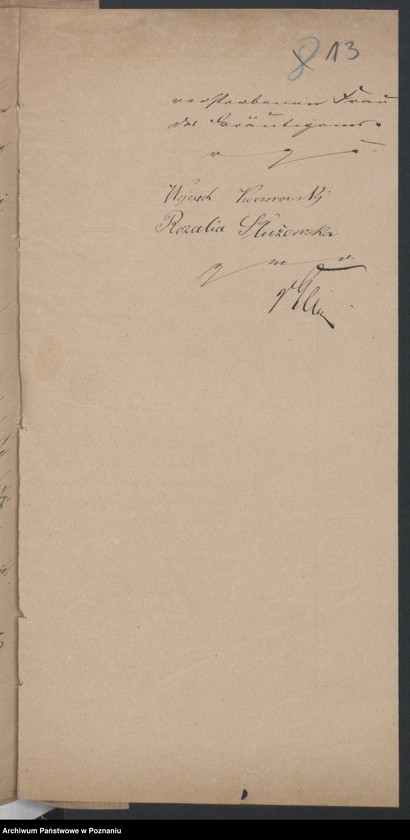 Obraz 15 z jednostki "Die von den Verlobten beigebrachten Urkunden zur Eheschliessung pro 1878"