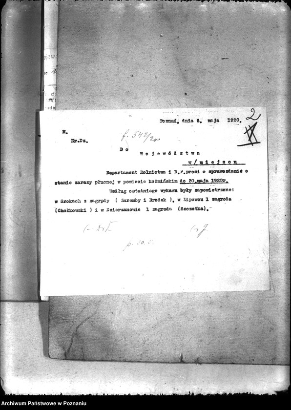 Obraz 6 z jednostki "Zaraza płucna - Koźmin"