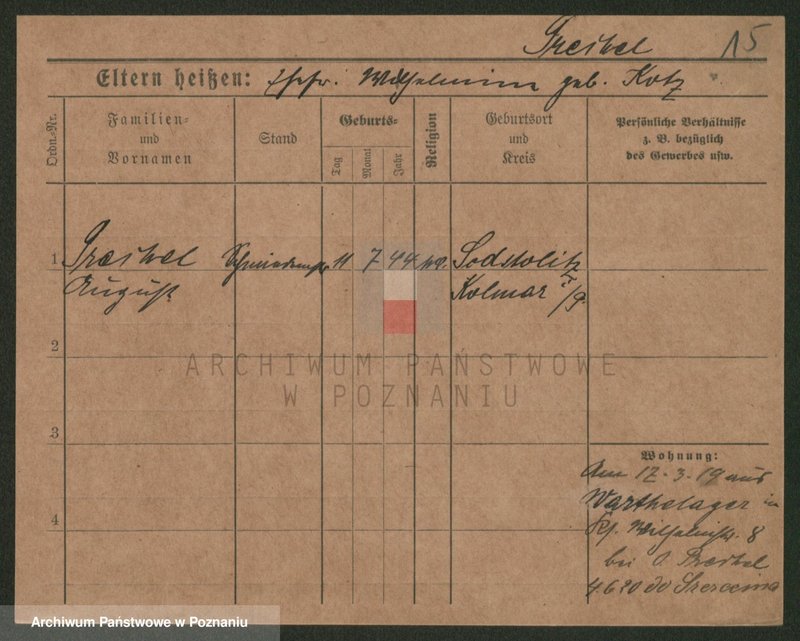 Obraz 17 z jednostki "Prebel - Preuss (żonaci - samotni mężczyźni)"