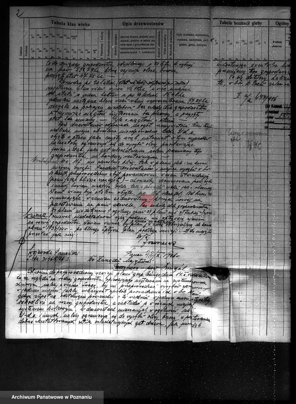 Obraz 6 z jednostki "Majętność Osowo - Stare powiat kościański"