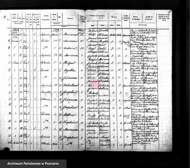 Obraz 3 z jednostki "Duplikat baptisatorum, copulatorum, mortuorum"