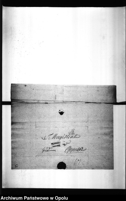 Obraz 20 z jednostki "Acta Specialia des Magistrats zu Oppeln. Wegen Anlegung einer Unterlaugen-Siederey für das Alaun Bergwerk zu Freyenwalde a/O. [...]"