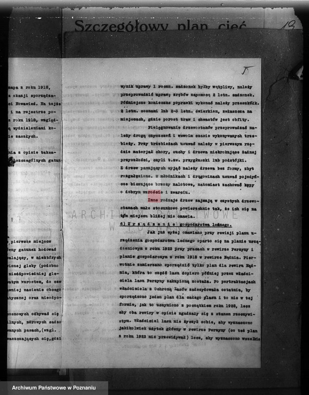 Obraz 9 z jednostki "Plan urządzenia gospodarstwa leśnego dla lasu majętności Zbąszyn-Perzyny powiat nowotomyski 1929-1939"