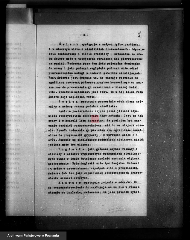 Obraz 13 z jednostki "Plan urządzania gospodarstwa leśnego majętności Borówkowo-Stare powiat. kościański"