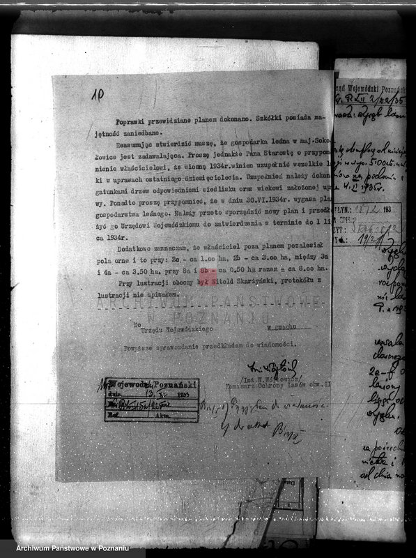 Obraz 14 z jednostki "Majętność leśna Sokołowice powiat kościański"