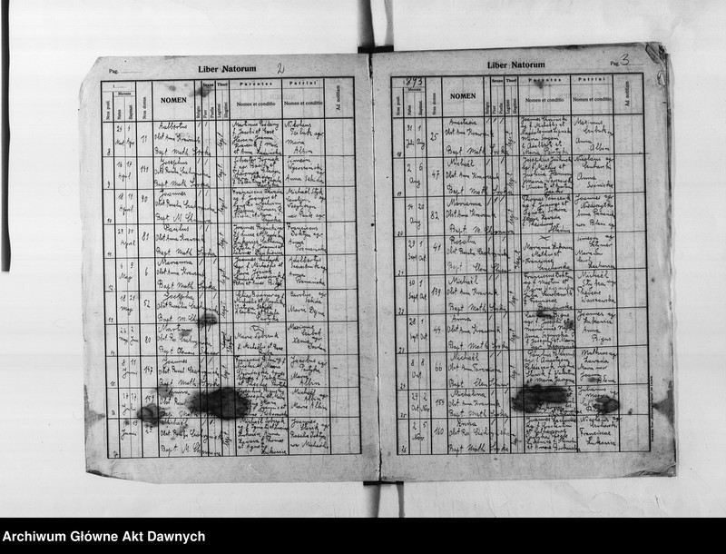 image.from.unit.number "Parafia: Skałat. Dekanat: Skałat. Księga metrykalna urodzeń dla wsi Panasówka*."