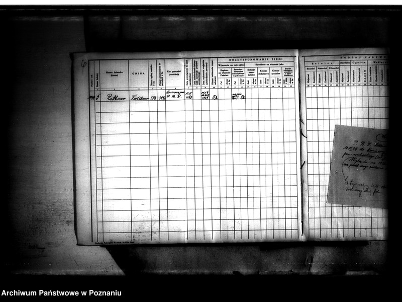 Obraz 11 z jednostki "Księga sprawozdawczo-statystyczna powiatu szubińskiego dla parcelacji Państwowego Banku Rolnego"