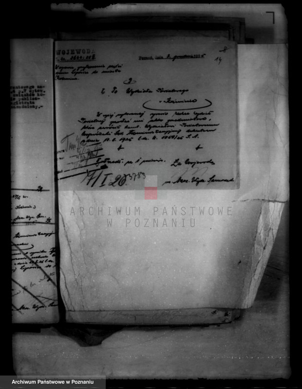 Obraz 18 z jednostki "Administracja miasta Koźmina"